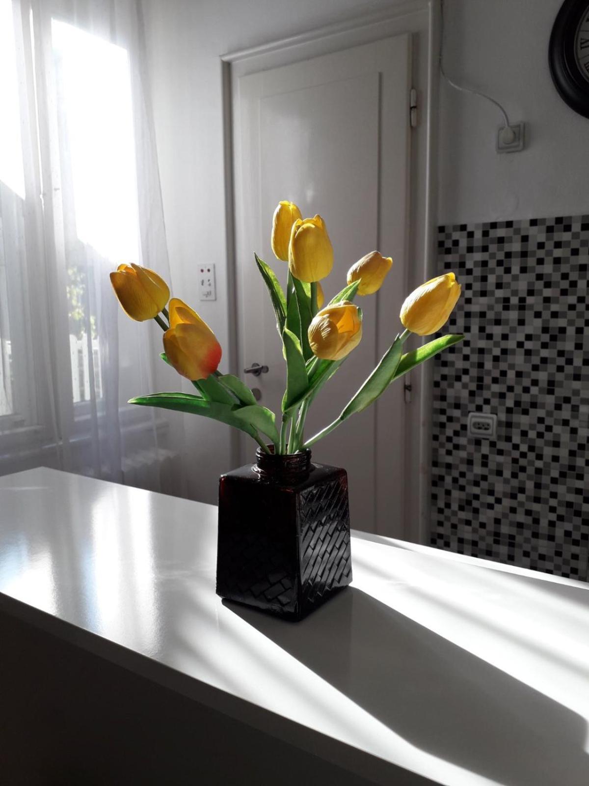Apartment Dunja Ns 노비사드 외부 사진