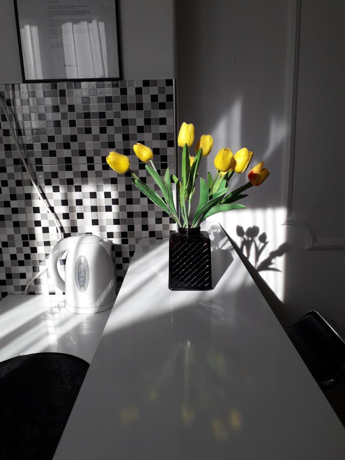 Apartment Dunja Ns 노비사드 외부 사진